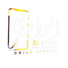 Elawady store