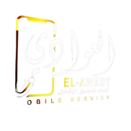 Elawady store